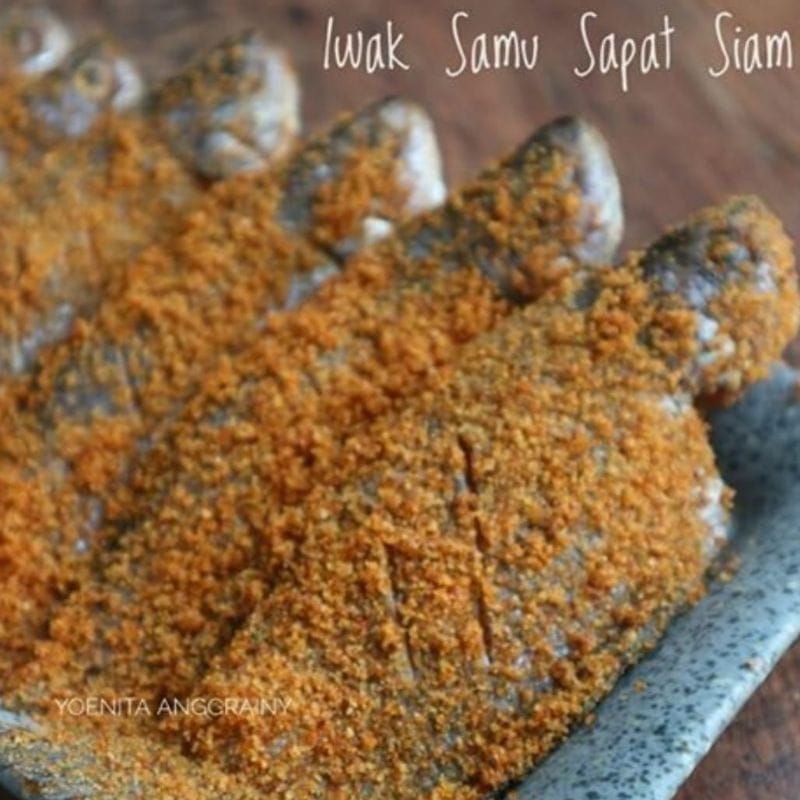 

ikan samu sapat siam