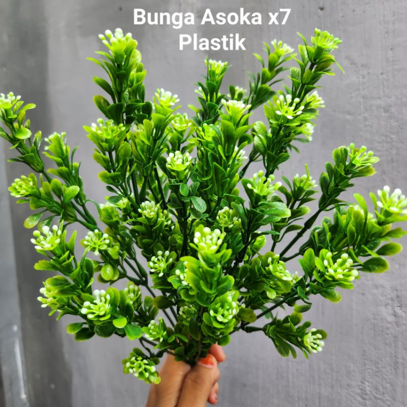 Bunga Asoka Mini Plastik