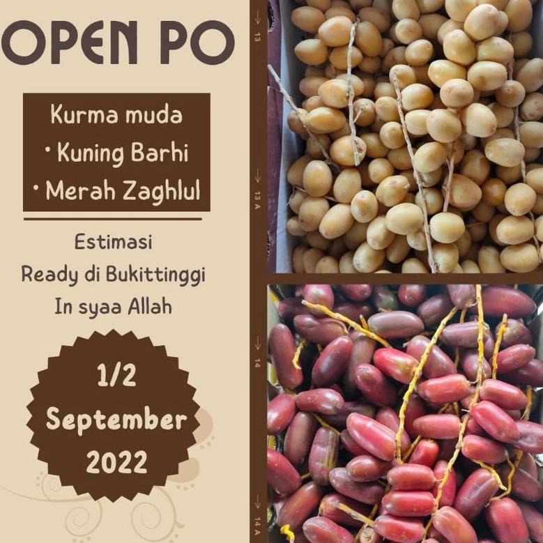 

Kurma Muda Kuning Barhi Dan Merah Zaghlul 500 Gram| Kurmud Promil