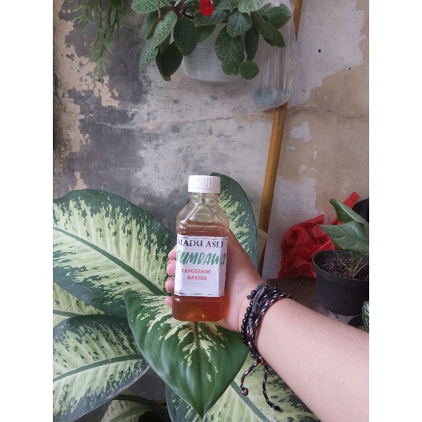 

MADU ASLI SUMBAWA