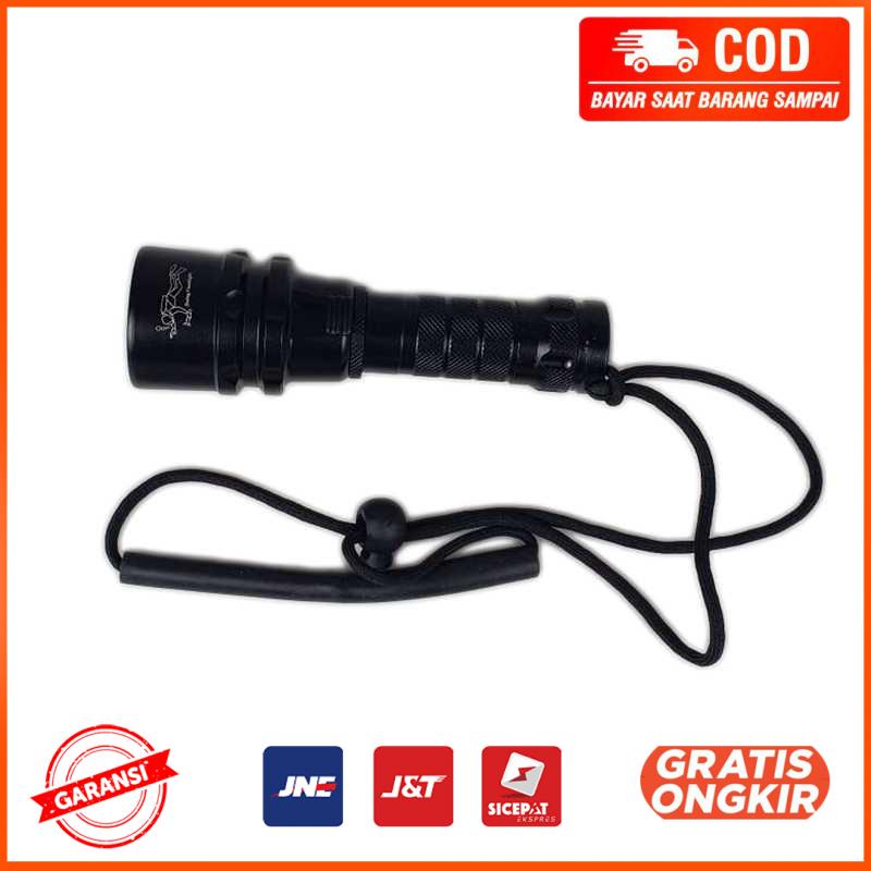 Senter LED Diving Flashlight Waterproof L2 1200 Lumens G300