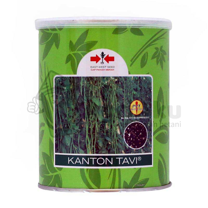Benih Kacang Panjang Kanton Tavi 500gr