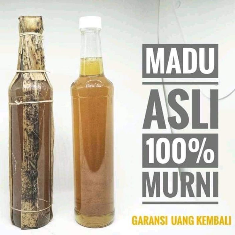 

Madu Hutan 100% Asli Murni Liar Odeng apis dorsata Ukuran ( 460 ml )