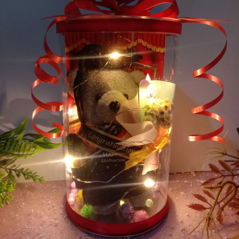 Boneka Wisuda Mika / Boneka Tabung LED /Boneka Teddy Bear Mini