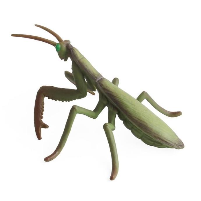 Mainan Serangga Mantis / Belalang Sembah