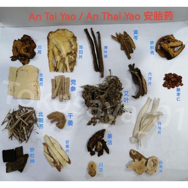 

Cap Sa Thai Po 十三太寶 - An Thai Yao 安胎藥