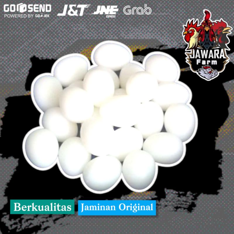 Telur Telor Plastik Merpati Mainan