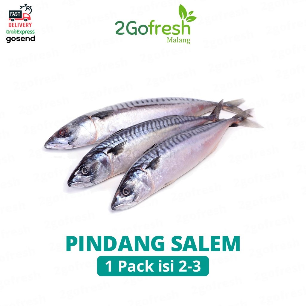 Jual Ikan Pindang Salem Fresh Sayur Sayuran Shopee Indonesia