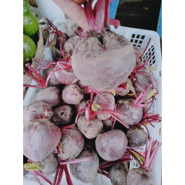 

Buah beetroot
