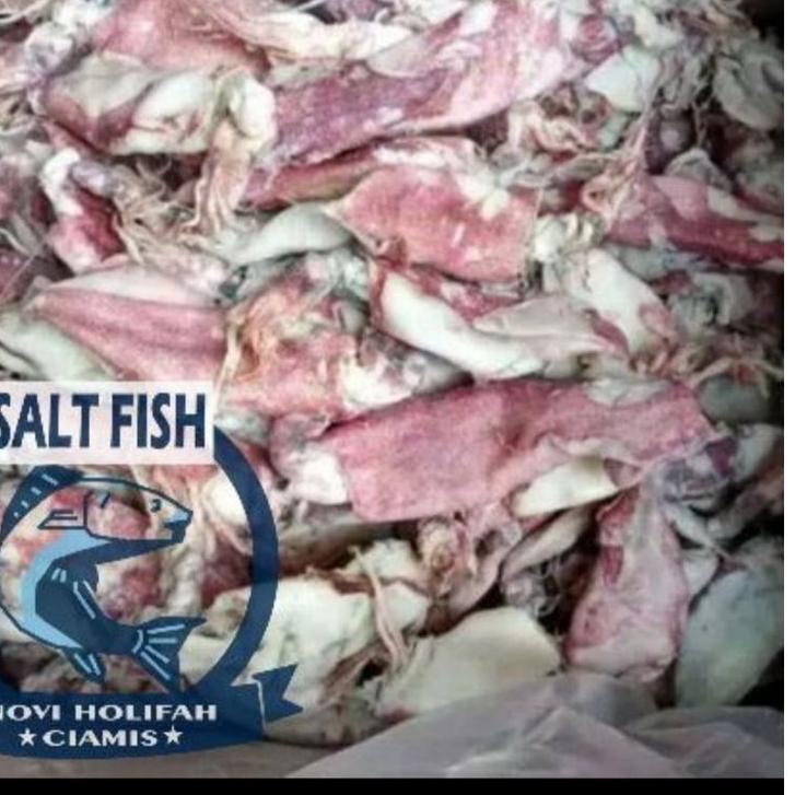 

TRXA5m0L--cumi asin kering fresh 250 gram