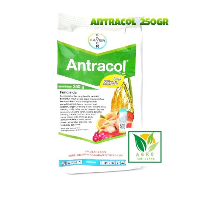 Sale Fungisida ANTRACOL Mengendalikan penyakit jamur pada tanaman /BIBIT TANAMAN SAYURAN/BIBIT TANAMAN BUAH/PUPUK ORGANIK CAIR/PUPUK TANAMAN/PUPUK NPK/PESTISIDA PEMBASMI GULMA/