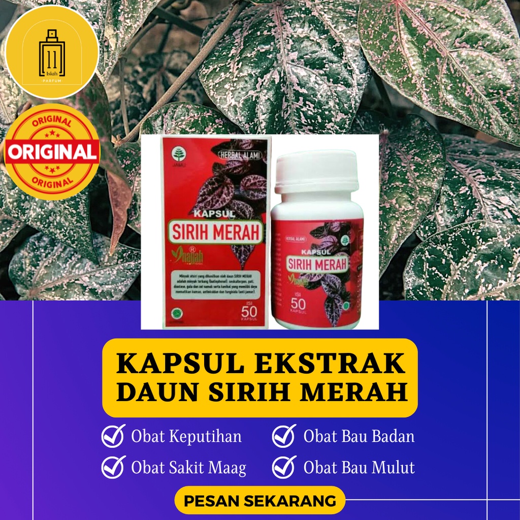 Jual Kapsul Ekstra Daun Sirih Merah 50 Kapsul Obat Herbal Keputihan Dan Bau Badan Shopee 1796