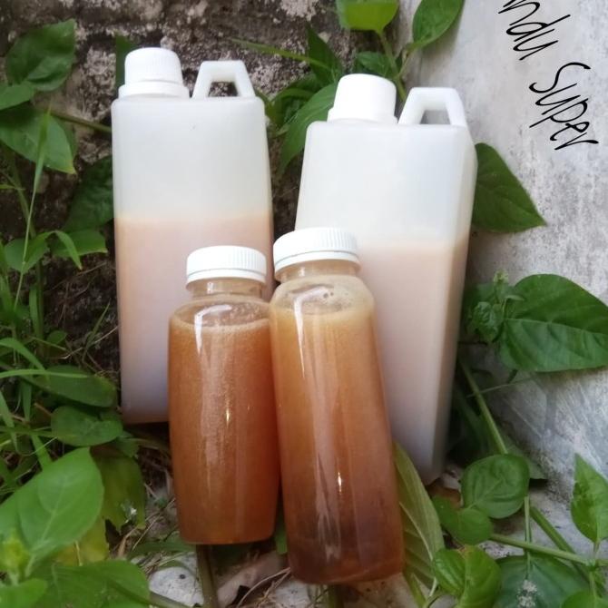 

TREND MADU RANDU SUPER CURAH 1KG ORIGINAL