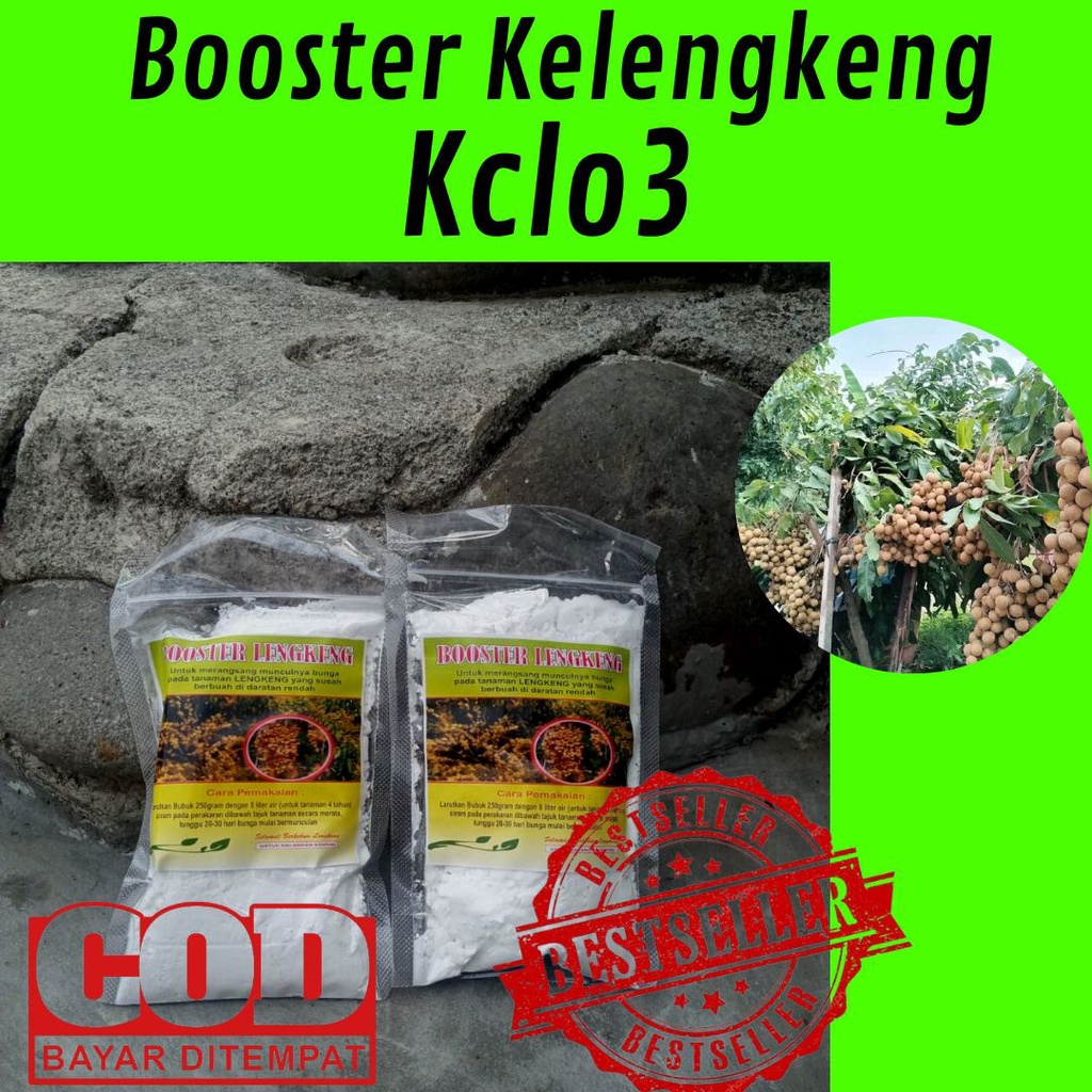 GROSIR Booster Kelengkeng Kclo3 / Booster Pohon Kelengkeng 500gr / Pupuk Pembuahan Pohon Kelengkeng 