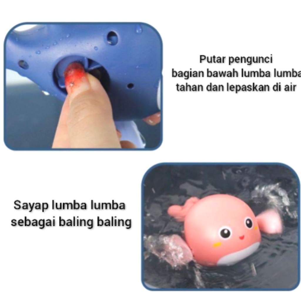 Mainan Air | Mainan Mandi Berenang Anak Karet Cit Cit | Bath Toys