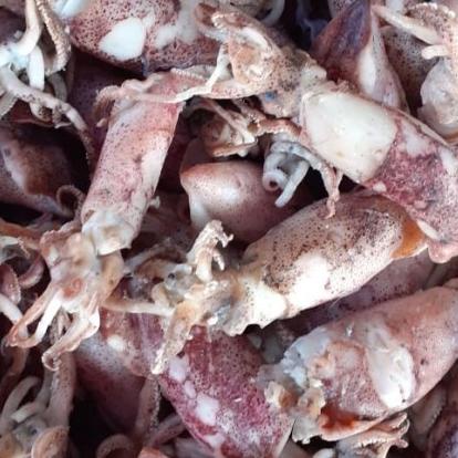 

SALE✅TERMURAH | BISA COD | CUMI ASIN SUPER 1kg ( Ikan Kering )|KD4