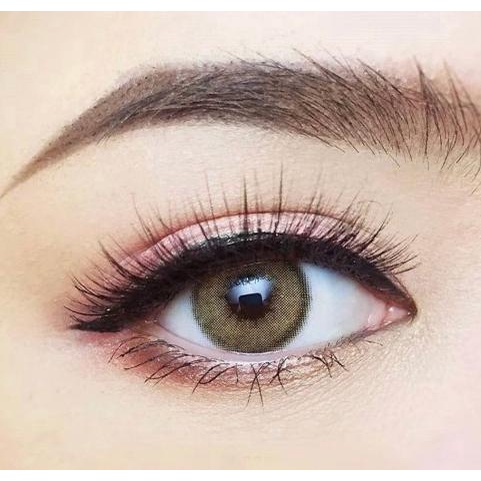 SOFTLENS DREAM COLOR SAMUI BROWN