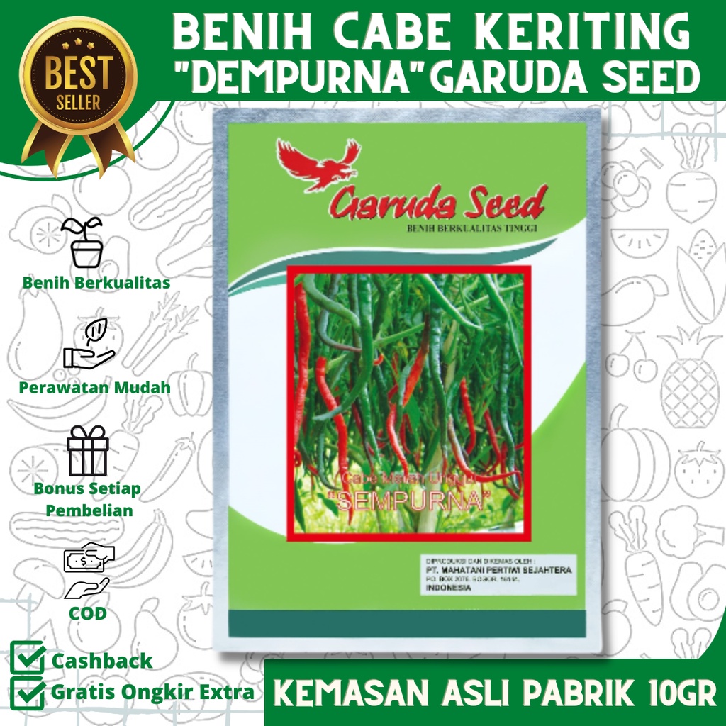 Bibit Cabe Keriting SEMPURNA 10 Gram | Benih Cabe Keriting | Cabai Keriting | Bibit Unggul