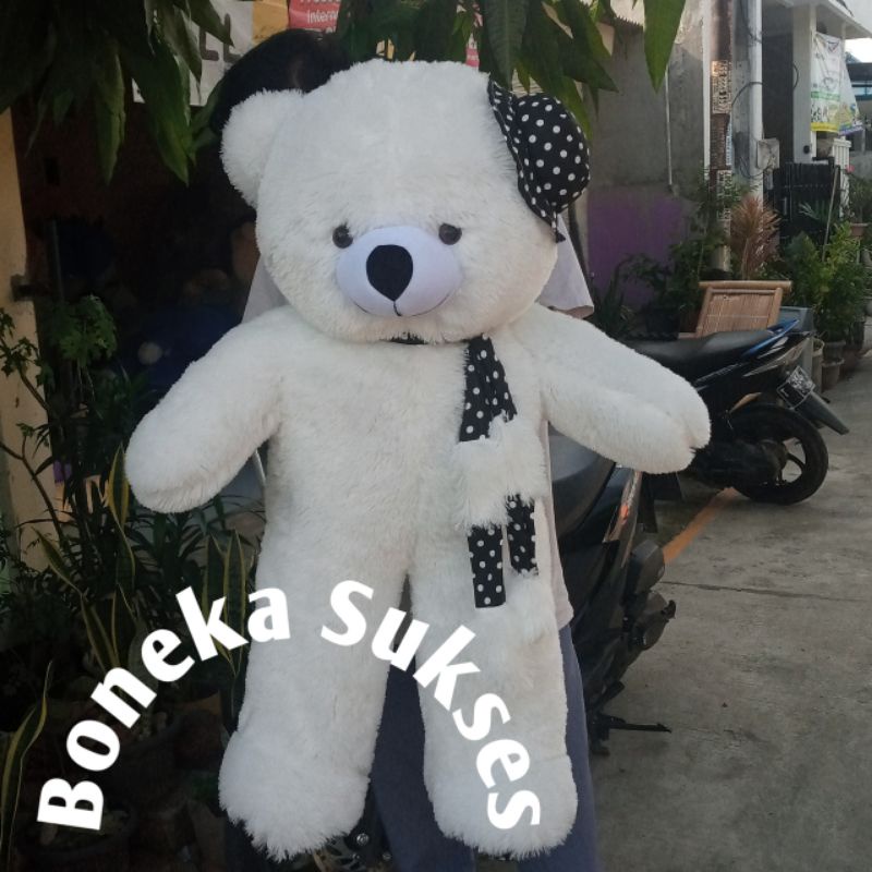 Boneka Teddy Bear Putih Salju jumbo