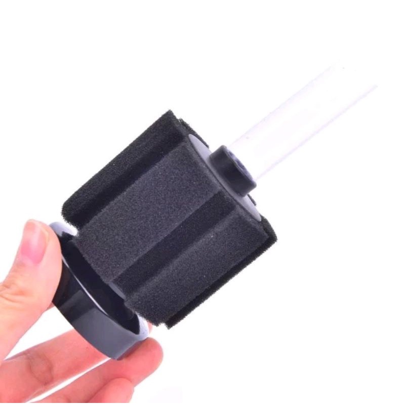Biofoam Filter Aquarium