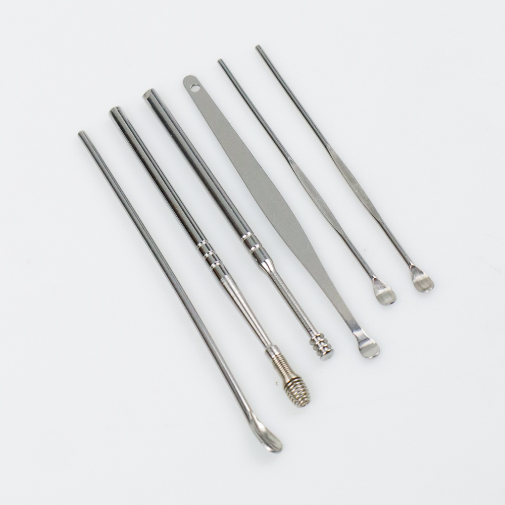 Set Pembersih Telinga Korek Kuping Ear Spoon Tool 6 PCS