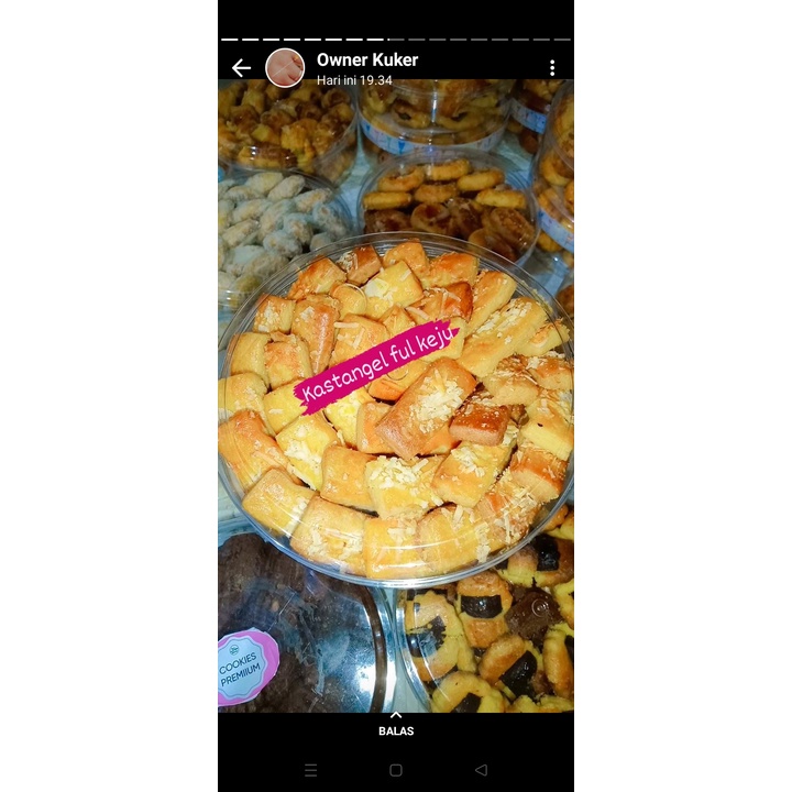 

kuekeringblubendfresovenkastanelkeju