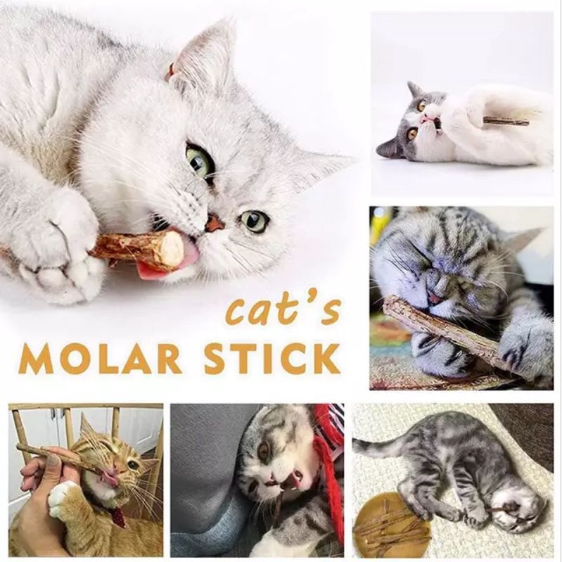 Catnip Stick Matabi | Stik Cemilan Snack Kucing Cat Kitten