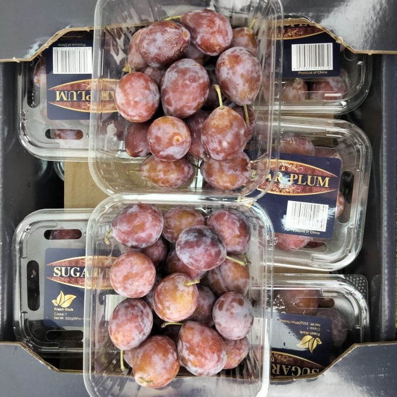 

Plum Sugar RRC 1 Pack 250 Grm (Manis)
