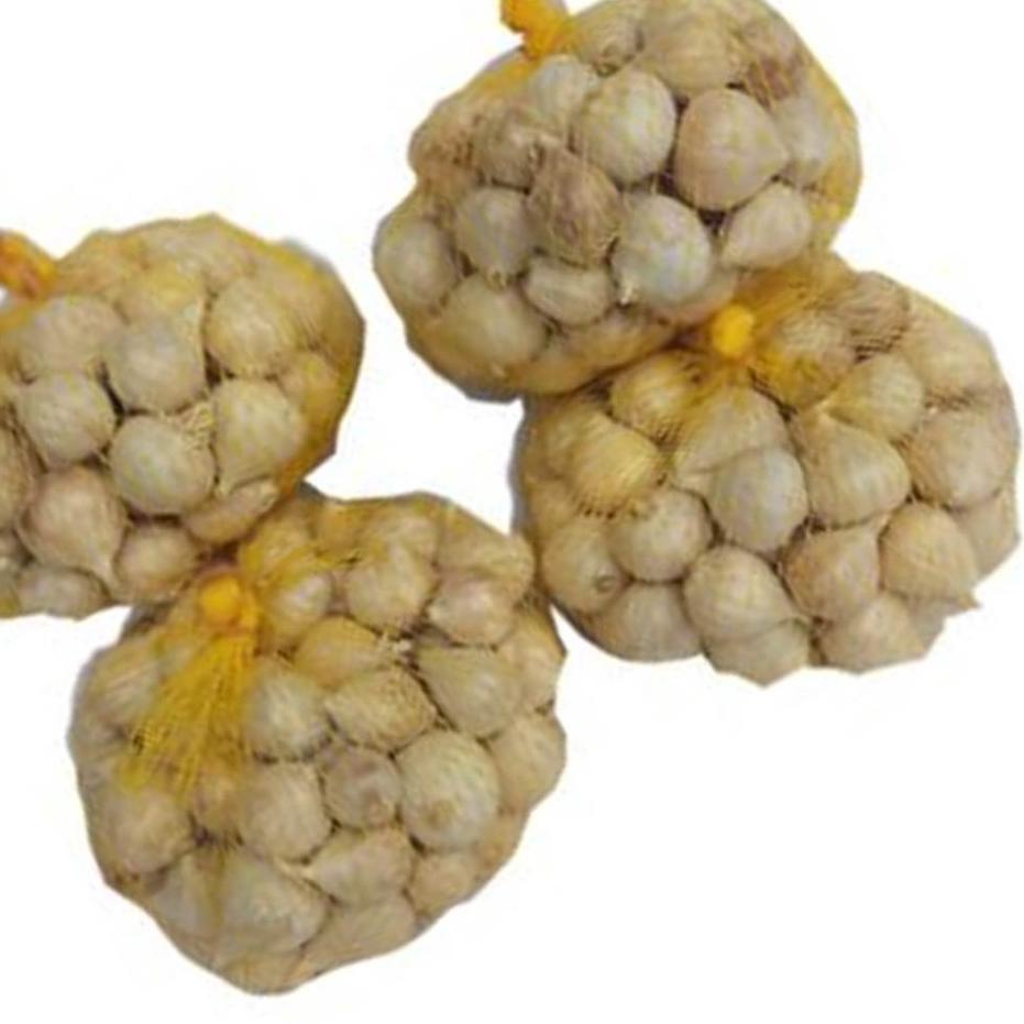 

TRXQq7Q1--Bawang Putih Tunggal varian Kulit Putih 250g, 500g, 1 kg