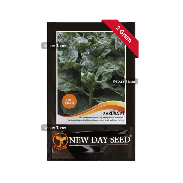 Benih Kailan Sakura F1 New Day Seed Isi 2 Gram NDS