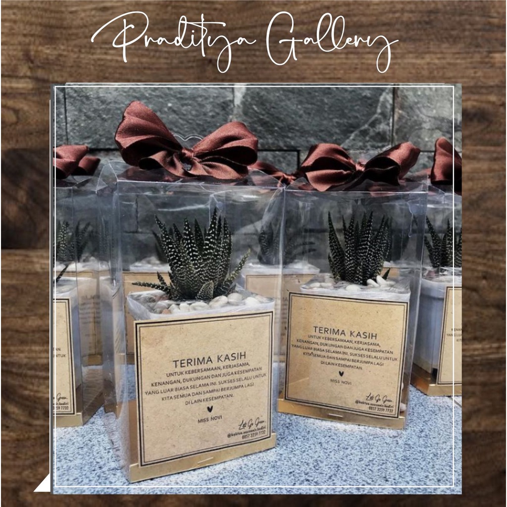 Kado wisuda/kado ulangtahun/farewell gift/gift/greenygift