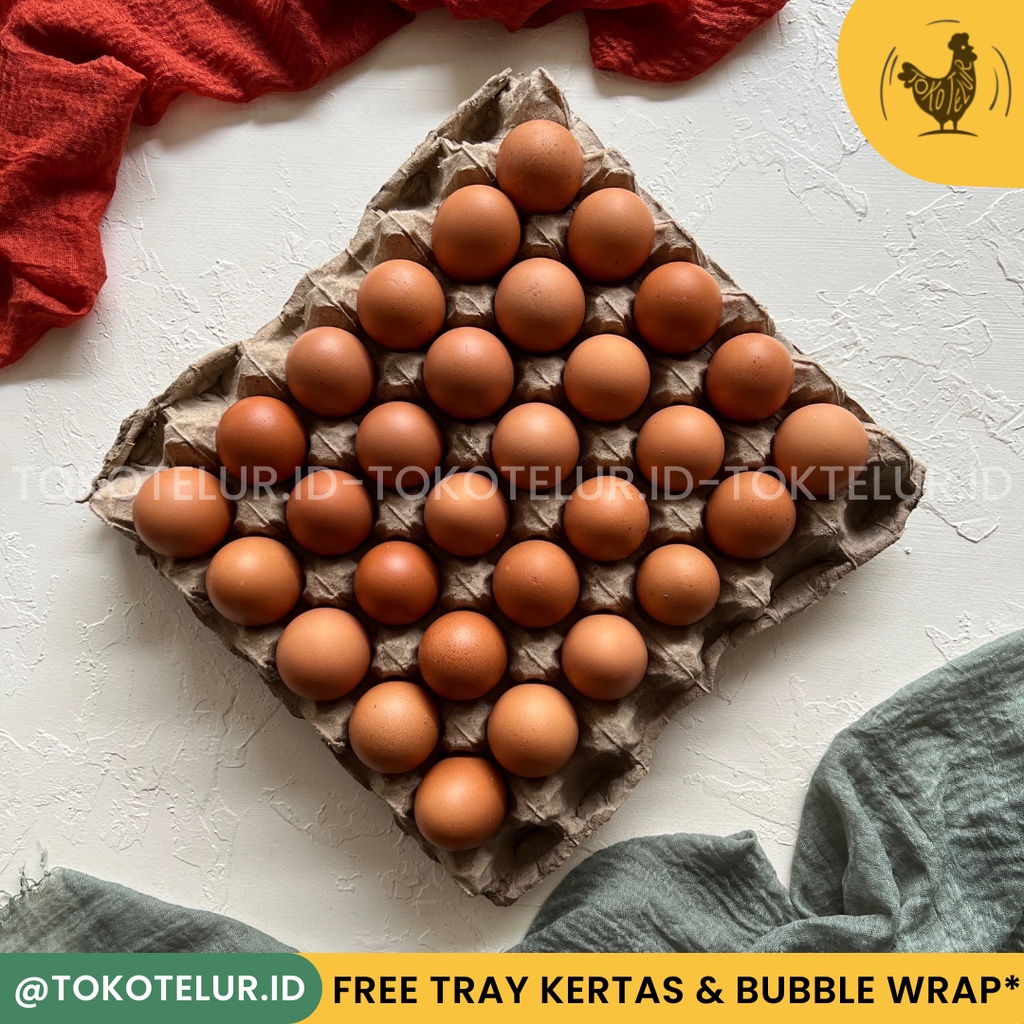 Telur Ayam Negeri Premium Pilihan (30 Butir) 1 Tray - FRESH/Segar