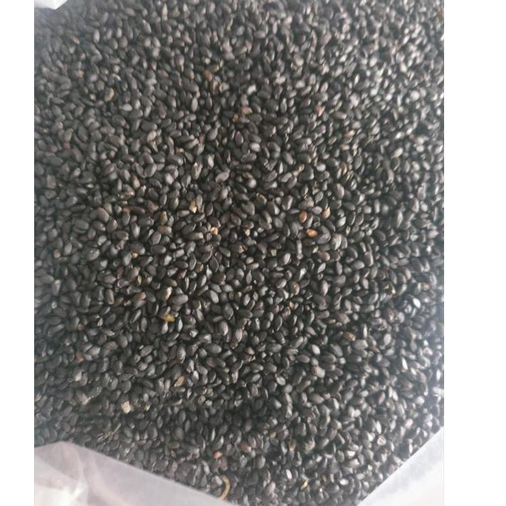 

code6n1Mb--Biji Selasih / Basil Seed 1 KG Import Kualitas Premium