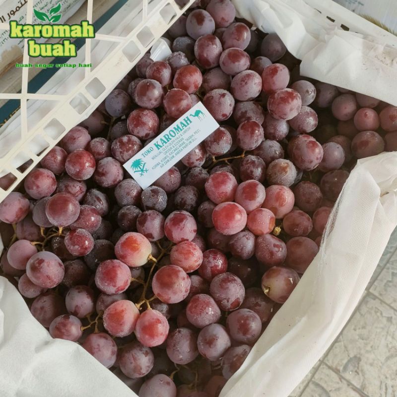 BUAH ANGGUR RED GLOBE 1 KRAT : 7KG LEBIH AUSTRALIA