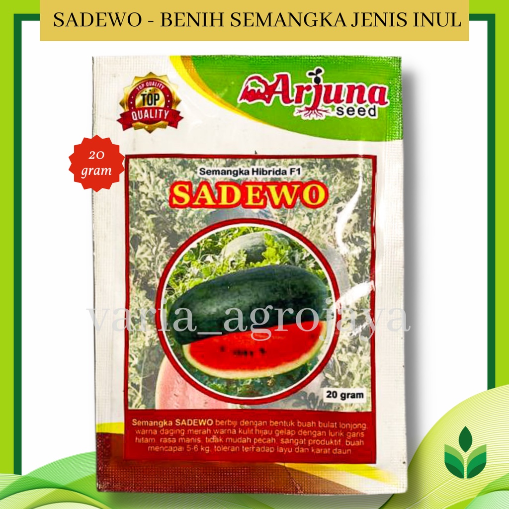 Jual Benih Bibit Semangka Merah Jenis Inul Sadewo Arjuna Seed