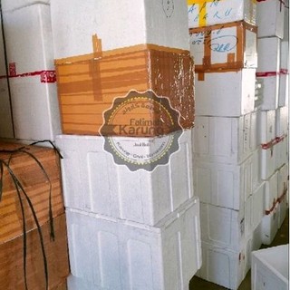 Jual Styrofoam Box 25 Liter Bekas | Shopee Indonesia