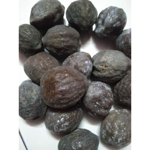 muncang adu jalim silangan jayanti batok tebal