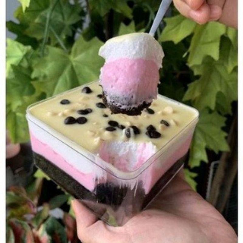 

DESSERT CAKE NEOPOLITAN 500ML
