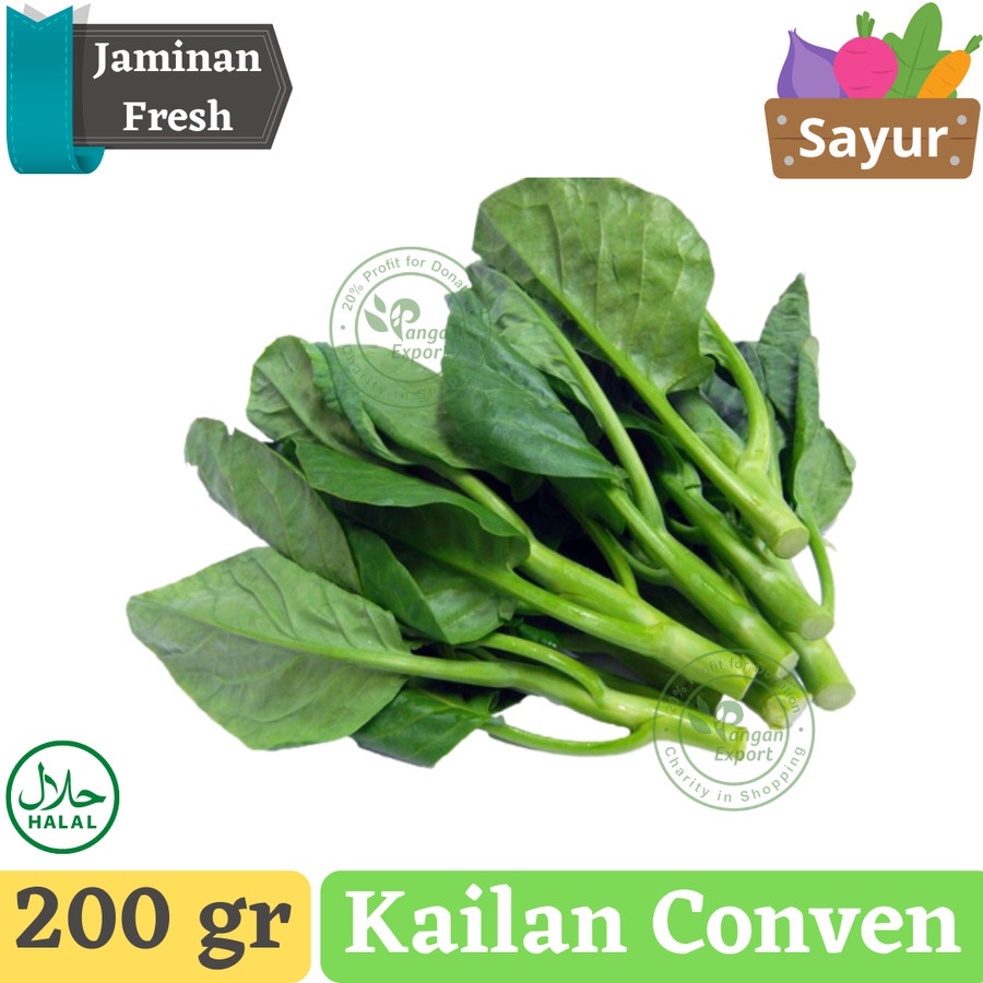 

Baby Kailan / Kailan Organic / Buah Bumbu Sayur Masak by Pangan Export