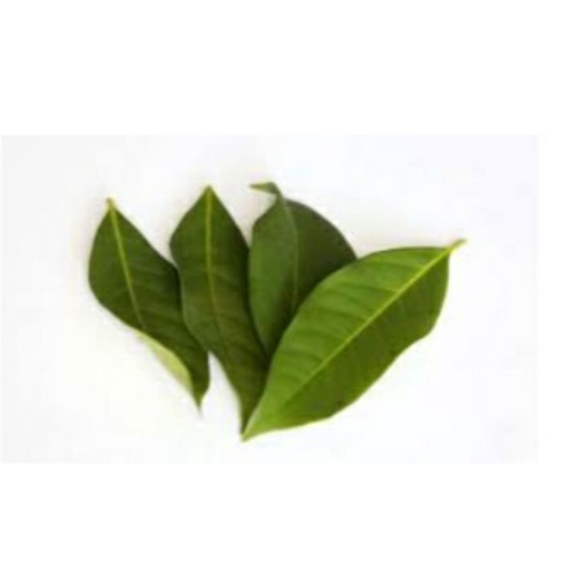 

Daun salam 200gram
