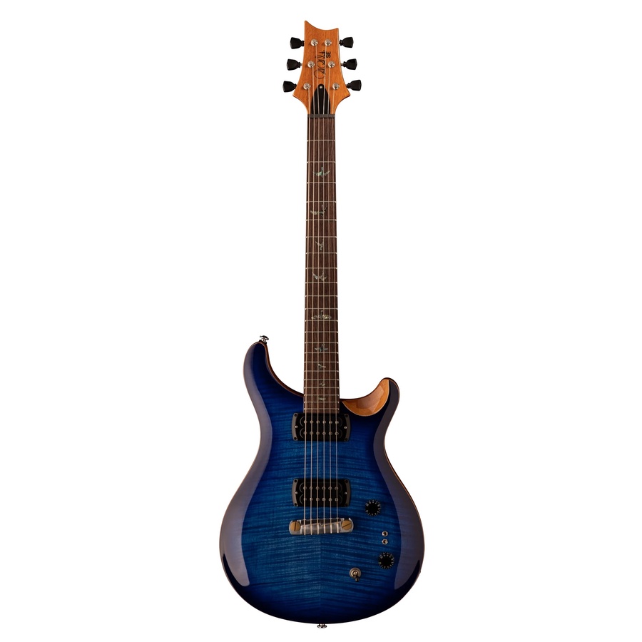 PRS SE Paul's Guitar