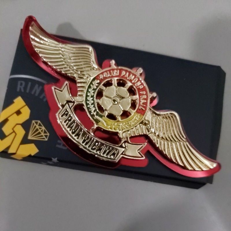 WING SATPOL POL PP