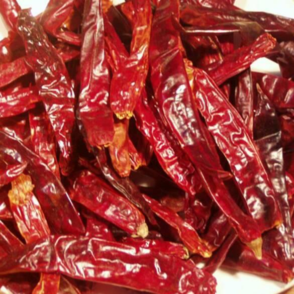 

Direkomendasikan--Cabe Merah Kering 250gr, 500gr, 1kg (chili dried)