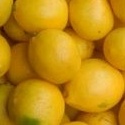 

Jeruk Lemon Lokal California Segar Besar 1 kg