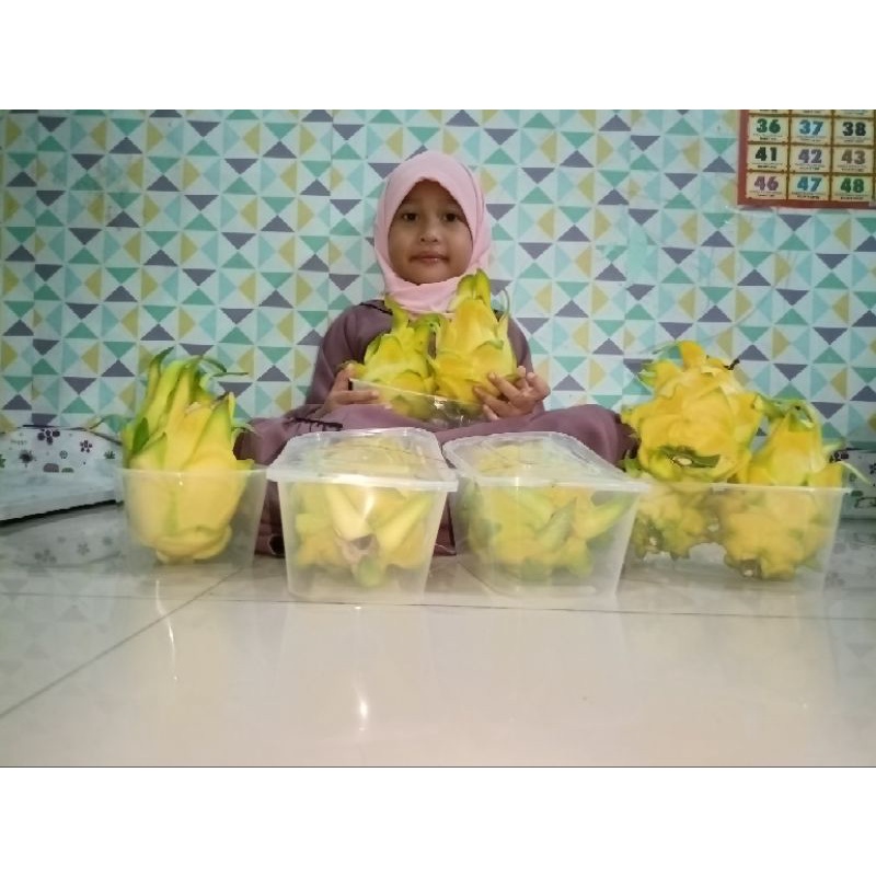 

buah naga kuning/GOLDEN YELLOW ISIS