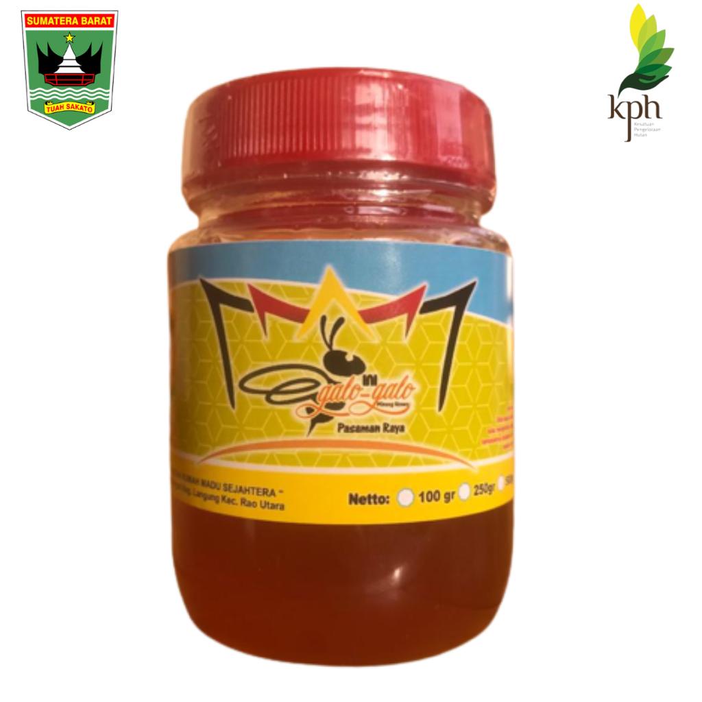 

Madu Galo-Galo 100% Asli Pasaman Raya KTH Rumah Madu Sejahtera