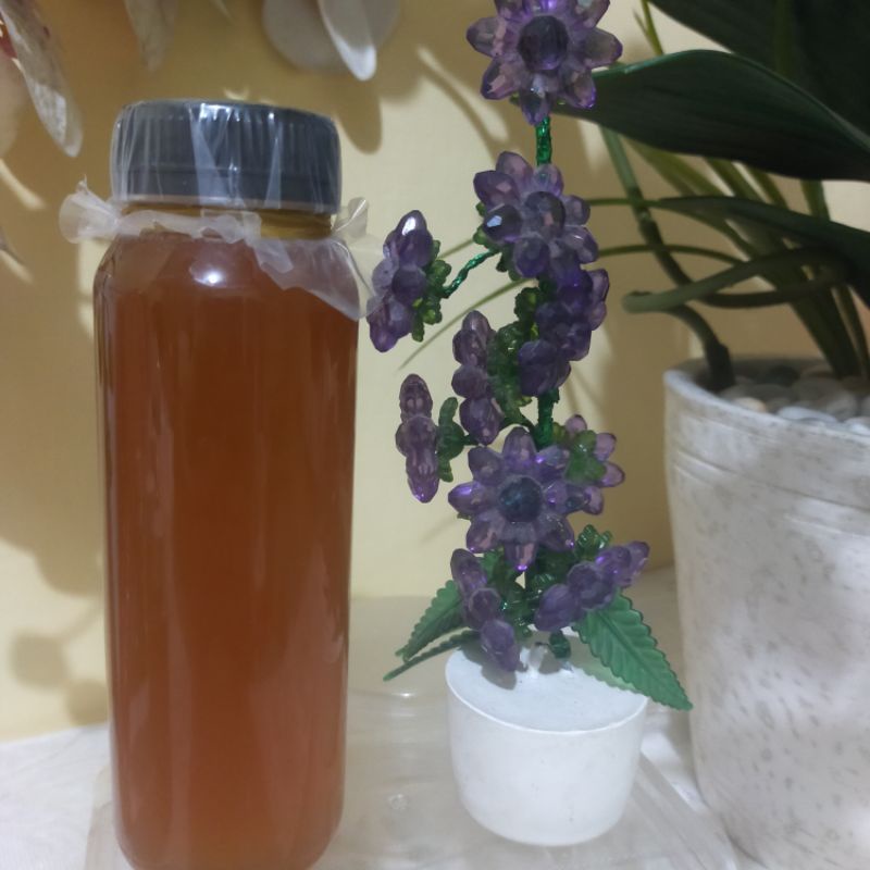 

Madu Hutan Asli 250 ml