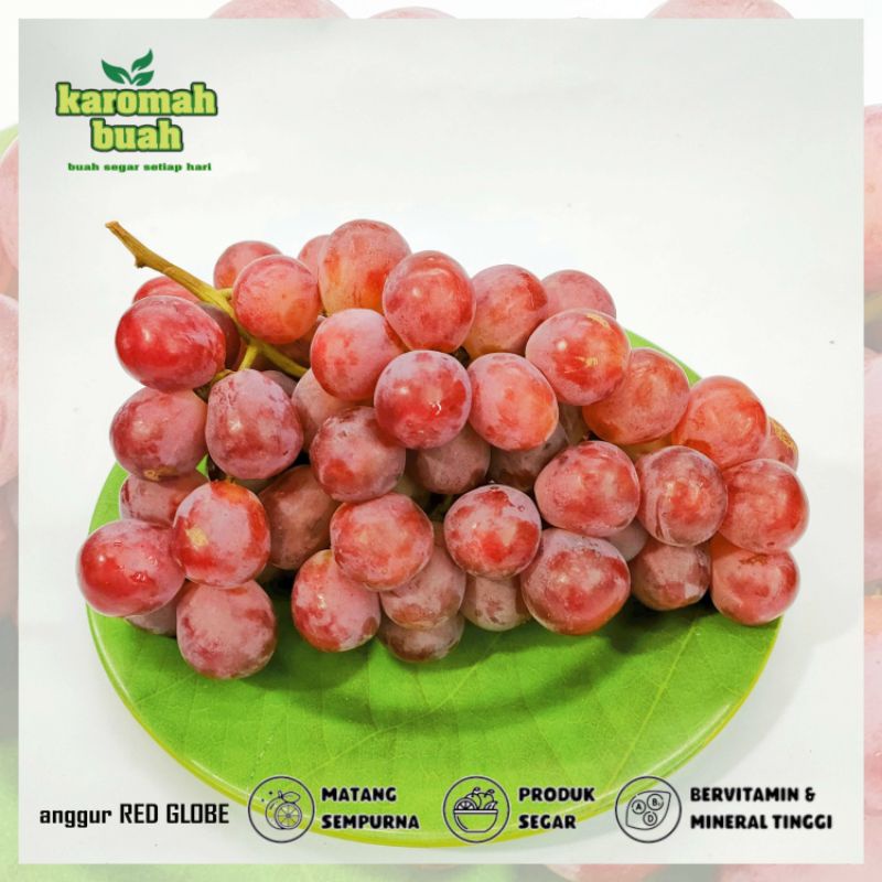 BUAH ANGGUR SEGAR AUS RED GLOBE 1KG MANIS SEGAR