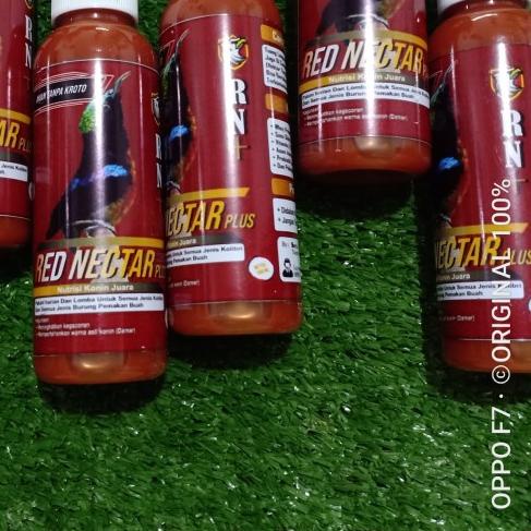 NEKTAR/NECTAR KONIN KOLIBRI NINJA SOGON, RED NECTAR PLUS (RN+) - 100 ml