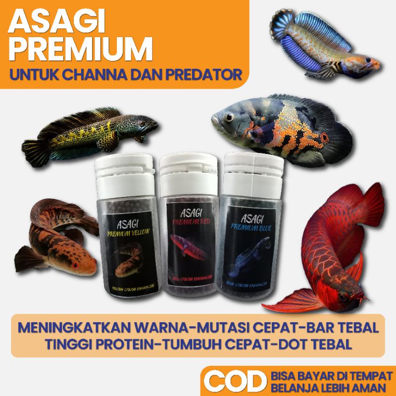 pelet channa pakan channa pelet carophyll super asagi red blue yellow
